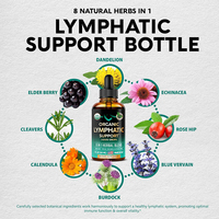 Vente en gros OEM Goutte lymphatique organique Gouttes de soutien lymphatique Supplément de nettoyage lymphatique pour le soutien immunitaire Liquide de désintoxication lymphatique
