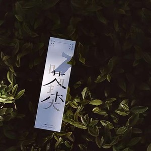 Fat <b>Reed</b> <b>Diffuser</b> 30-60 Days Scented Zhejiang Made <b>For</b> Home Aromatherapy - Product Image 2