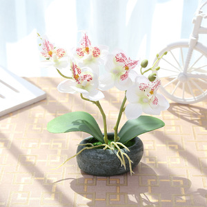 Mini fleur d'orchidée de Phalaenopsis, décoration de jardin, plantes décoratives en pot pour la maison et le mariage - Product Image 4