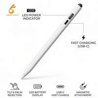 Nouveau stylet magnétique actif rechargeable pour tablette iPad 2018 et versions ultérieures, avec prise en charge de l'inclinaison, rejet de la paume et chargement Type-C, 2 remplacements