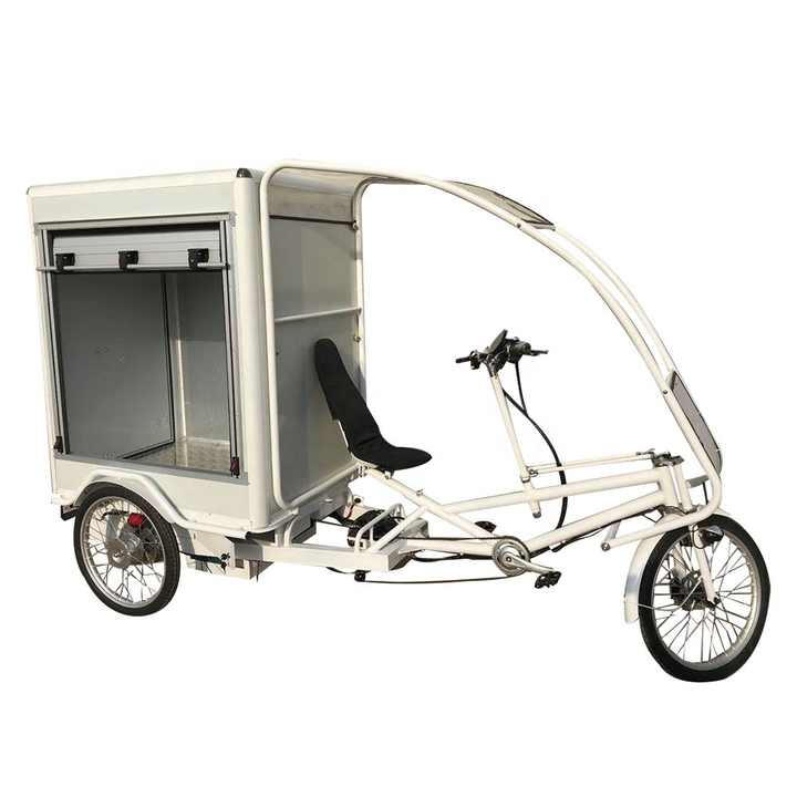 Tricycle Manufacturer China 1000watt Heavy Duty Electric Delivery Bike For Cargo Food