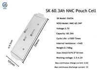Batterie polymère SK Innovation Lithium Ion Pouch Cell E603A 60,3 Ah 3,7 V pour stockage d'énergie solaire et véhicules électriques