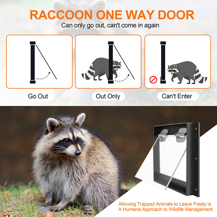 Raccoon One Way Eviction Door - Sustainable & Easy Install