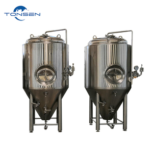 Fermentador de Cerveza Artesanal de Grado Sanitario con Limpieza CIP y Control de Presión - Product Image 1