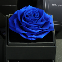 Cadre photo de fleurs préservées haut de gamme : Rose violette et Hortensia – Art floral pour emballage cadeau de luxe, décoration de mariage et de maison – Vente en gros