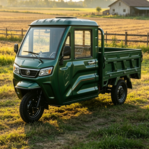Triciclo Cargo con Cabina Integrata in Lamiera, Certificazione EEC COC, Dotato di Motore ad Alta Potenza 72V 1500W - Product Image 5