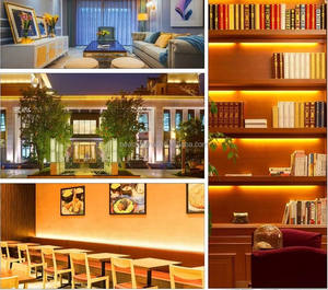 Tira de Luces LED para Exteriores de 24v 3000K 4000K 6000K IP67 Impermeable, 120leds/m 2835led, Venta al por Mayor - Product Image 6