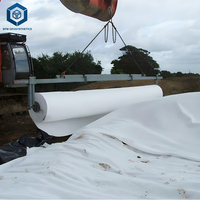 Tissu géotextile non tissé blanc, couche de séparation, tissu filtrant en PP, fournisseurs de toile paysagère