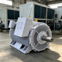Moteur synchrone triphasé 3000W en fonte à faible coût d'entretien, contrôle vectoriel à fréquence variable, protection IP55, à pieds