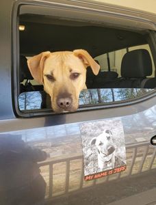 Custom Gloss Matte Finish Magnetic <b>Car</b> Sticker Reusable Vinyl <b>Decal</b> Vehicle Sign for Charity Fundraiser Event Drive - Product Image 2