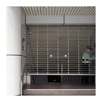 Grille en acier inoxydable Porte enroulable Grille de ventilation Grille de porte à volet roulant