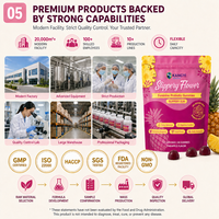 Gummies Probiotiques Féminines 2 Milliards UFC Bacillus Coagulans Orme Rouge Confort Digestif Flore Intestinale Bien-être Féminin OEM ODM