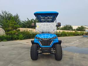 Carrito de Golf Personalizado de 6 Plazas, Buggy de Playa, Carrito Todoterreno Elevado, Vehículo Eléctrico de Caza de Nuevo Diseño - Product Image 2
