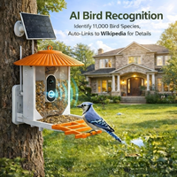 Mangeoire à oiseaux solaire OEM avec reconnaissance IA des oiseaux, caméra HD 3MP, vision nocturne couleur, dissuasion des écureuils et contrôle par application