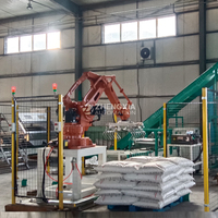Ligne d'emballage pour le riz, les haricots, les aliments pour animaux, les grains de riz, robot palettiseur automatique, machine de palettisation, machine d'emballage et de palettisation