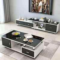 Table basse moderne de luxe à profil bas en bois mélaminé avec plateau en acrylique et espace de rangement pour le salon