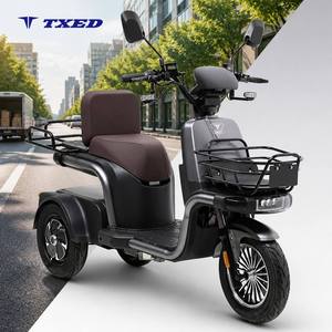 Triciclo Eléctrico Motorizado TXED de Nuevo Diseño, 3 Ruedas, Carrocería Abierta, 60V/1000W, Frenos de Disco Delanteros/Traseros, Uso de Carga, Capacidad de Carga 100-200kg - Product Image 1