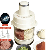 Hachoir à viande et batteur à pâte multifonctionnel en acier inoxydable 5L avec 3 vitesses, 500W, structure sur pied/à table, crochet pétrisseur