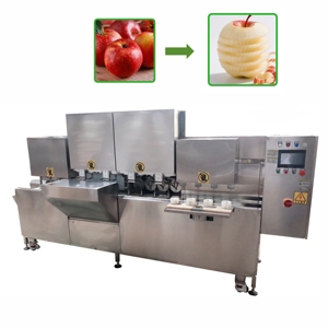 Machine à peler les pommes et les poires automatique à haut rendement avec moteur 220V, puissance 2,2 kW - Product Image 3