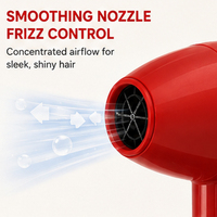 Nouveau Sèche-Cheveux Portable Mini Diffuseur pour Filles, Léger avec Moteur AC, Garantie 1 An, Cordon d'Alimentation de 2 Mètres, Idéal Voyage et Hôtel
