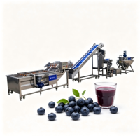 Ligne de traitement clé en main de jus de myrtille avec décanteur centrifuge et machine de remplissage en bouteilles en verre pour usine de boissons