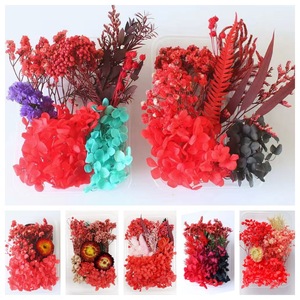 <span class=keywords><strong>Flores</strong></span> Secas Prensadas DIY para Artesanías con <span class=keywords><strong>Flores</strong></span> <span class=keywords><strong>Preservadas</strong></span> Mixtas, Velas, Resina, Joyería, Uñas, Colgantes, Tarjetas, Bodas - Product Image 5