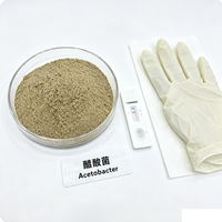 Poudre de démarrage de fermentation alimentaire Acetobacter 10 milliards UFC/g – Bactéries acétiques pour la fabrication de vinaigre industriel et la conversion acétique