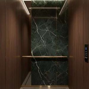 Ascensor Hidráulico de Diseño Moderno para Interiores/Exteriores, para Casas y Villas, Alternativa al Ascensor Eléctrico Otis para Hoteles - Product Image 6