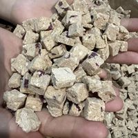Friandises lyophilisées pour animaux de compagnie au poulet et au fruit du dragon, riches en protéines pour la santé intestinale, collation d'entraînement pour chiens et chats, vente en gros OEM ODM