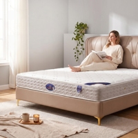Colchón de Espuma Viscoelástica con Gel Refrigerante y Resortes Ensacados, Enrollable al Vacío, de 30 cm (12 Pulgadas), en Caja, Popular de Fábrica OEM/ODM