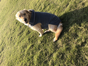Winter Warme Fleece Hond Jas Jas Reflecterende Zachte Koud Weer Pet Vest Kleding Overjas - Product Image 4