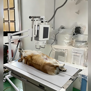 Equipo de Diagnóstico Veterinario Portátil de Alta Potencia con Sistema DR de Rayos X para Uso Veterinario, Diagnóstico Móvil - Product Image 5