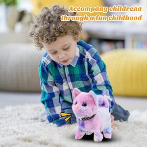 Miagolante testa scodinzolante che annuisce peluche pasqua regali di compleanno di natale che cammina gattino farcito animale interattivo arcobaleno gatto - Product Image 2