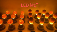 Lampe à sel LED G45 en cristal, lampe à sel LED de l'Himalaya, lampe à sel de lave volcanique