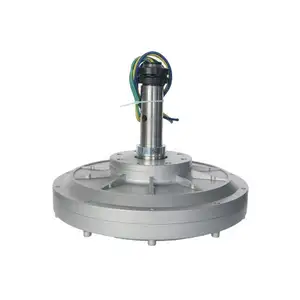 Axial Flux 1kw 300 Vòng/phút Rpm Thấp Coreless Thiết Kế Tuabin Gió Bên Ngoài Rotor Nam Châm Vĩnh Cửu Máy Phát Điện Cho Trang Chủ