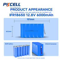 Paket Baterai LFP IFR18650 12.8V 6000mAh 4S3P Baterai Li-ion Isi Ulang untuk Lampu Jalan Tenaga Surya