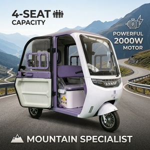 Tricycle électrique avec moteur 2000W, pour le transport de marchandises <span class=keywords><strong>et</strong></span> de passagers, taxi, livraison de nourriture, CKD, Pérou, <span class=keywords><strong>Bolivie</strong></span>, Équateur, robuste, tout-terrain, avec 4 portes - Product Image 3