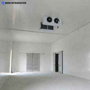 Contenedor de congelador para cultivo de hongos, habitación fría, congelador de habitación fría, habitaciones frías de 2hp para hacer bloques de hielo - Product Image 5