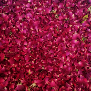 Meilleurs prix et roses séchées naturelles de qualité supérieure du Vietnam pour l'approvisionnement mondial en exportation de décoration de thé amincissant - Product Image 1