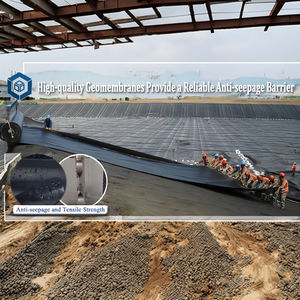 BPM 0 <span class=keywords><strong>2</strong></span> 3 мм <span class=keywords><strong>HDPE</strong></span> геомембрана цена за квадратный метр 1000 микрон плотина - Product Image 4