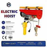 Hoist Listrik Industri Tahan Karat Anti Korosi 110V 220V Rendah Kebisingan Tahan Aus IP54 dengan Remote Control