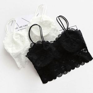 K470 Top Corto Sexy para Mujer, con Relleno en el Pecho, para Hacer Ejercicio, con Encaje, Estilo Bralette - Product Image 1