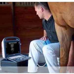 Mesin <span class=keywords><strong>Ultrasound</strong></span> merek terkenal hewan <span class=keywords><strong>Sonoscape</strong></span> <span class=keywords><strong>A5</strong></span> dengan harga terbaik di Cina - Product Image 3