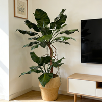 Plantes artificielles Alocasia de haute qualité de 210 cm en pot, design élégant, décoration pour la maison, le bureau, l'hôtel, fausse plante Alocasia dans un pot en ciment