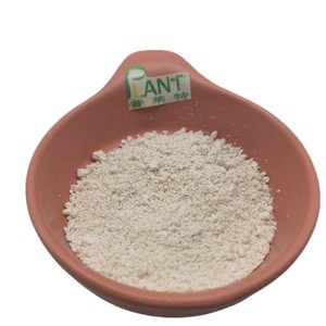 Thành phần 10:1 20:1 táo da polyphenol chiết xuất bột 10%- 98% Vỏ táo tự nhiên chiết xuất bột phlorizin 98% CAS 60-81-1 - Product Image 3