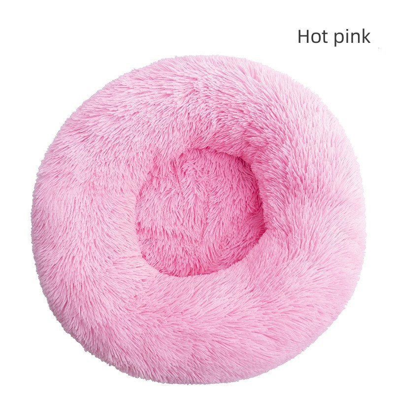 Rose vif