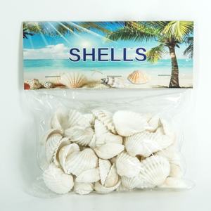 Natuurlijke Shell Diy <span class=keywords><strong>Aquarium</strong></span> Decoratie Wit <span class=keywords><strong>Seashell</strong></span> 2-3Cm Kleine Coquille Zee Natuurlijke Ambachten Schelpen Conch - Product Image 6