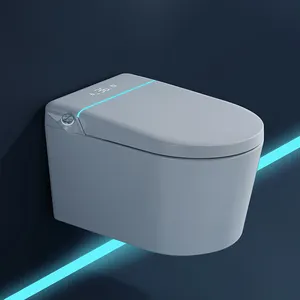 Armoire d'eau en céramique à économie d'eau de couleur blanche pour hôtel WC aux normes européennes Toilette murale à lumière led cachée sans monture