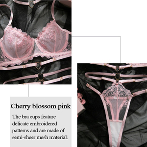 Vente <span class=keywords><strong>en</strong></span> gros de lingerie sexy de haute qualité, ensemble de lingerie <span class=keywords><strong>en</strong></span> dentelle rose brodée, sous-vêtements transparents <span class=keywords><strong>en</strong></span> maille pour femmes - Product Image 4