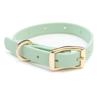 Ensemble collier et laisse pour chien en PVC enduit effet cuir, boucle dorée classique à dégagement rapide, trous pour breloques personnalisées, étanche, pour petits, moyens et grands chiens